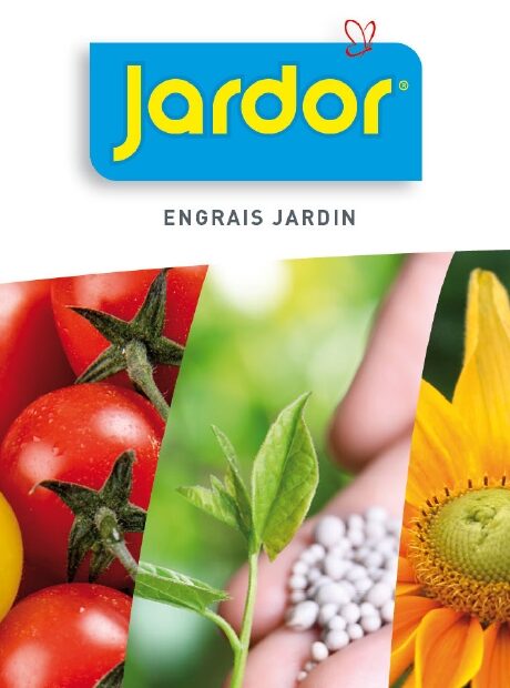 Jardor